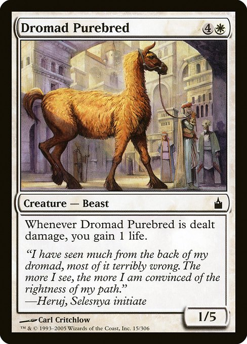 Dromad Purebred highlighted card art