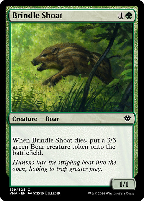 Brindle Shoat from Vintage Masters