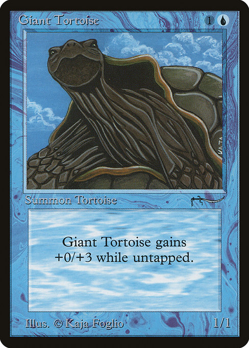 Giant Tortoise from Arabian Nights
