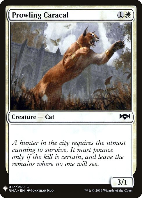 Prowling Caracal highlighted card art