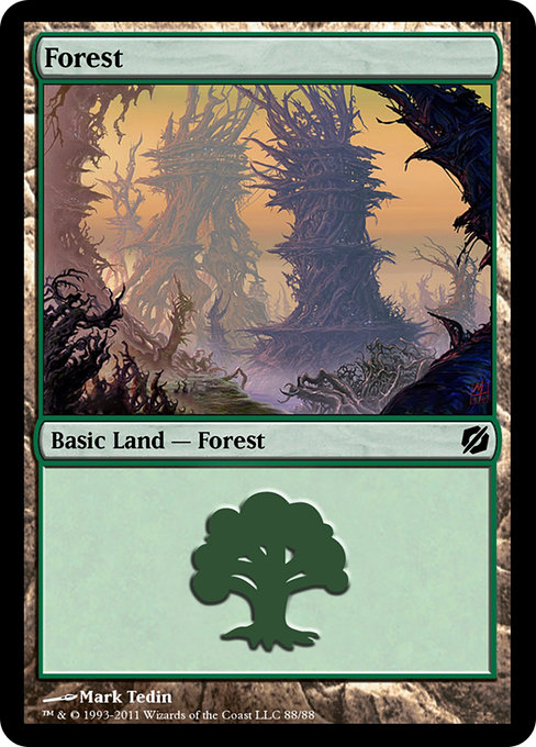 Forest from Duel Decks: Mirrodin Pure vs. New Phyrexia