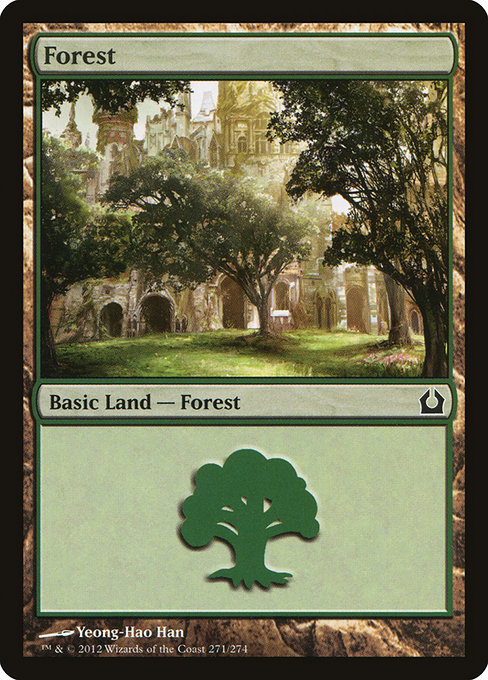 Forest from Return to Ravnica