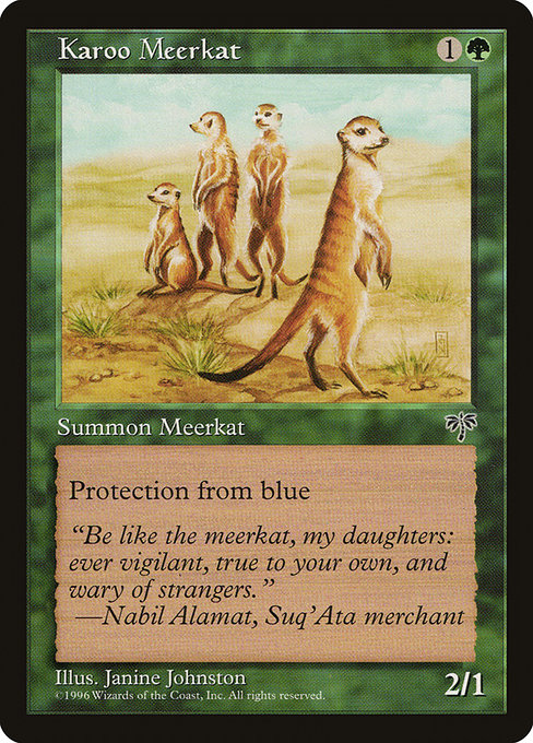 Karoo Meerkat highlighted card art