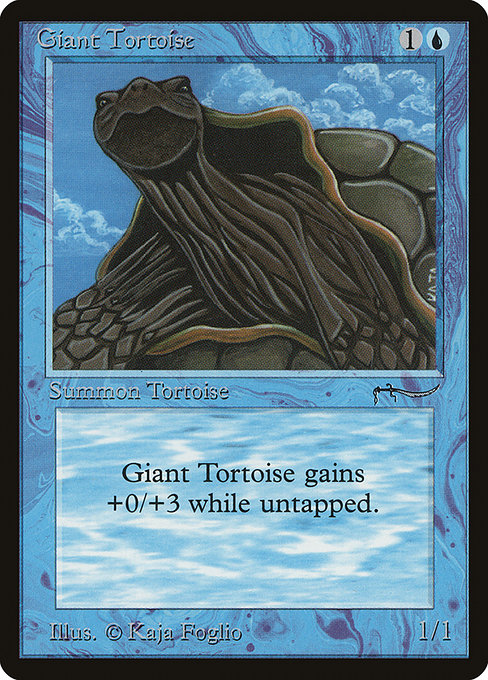 Giant Tortoise from Arabian Nights