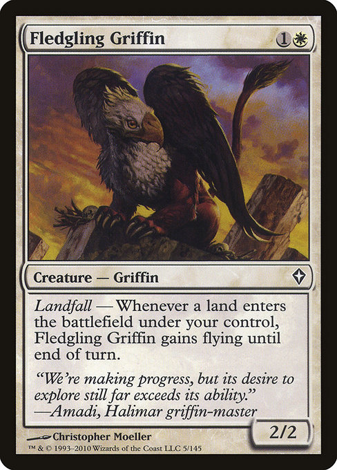 Fledgling Griffin highlighted card art
