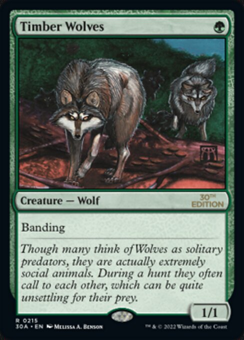 Timber Wolves highlighted card art