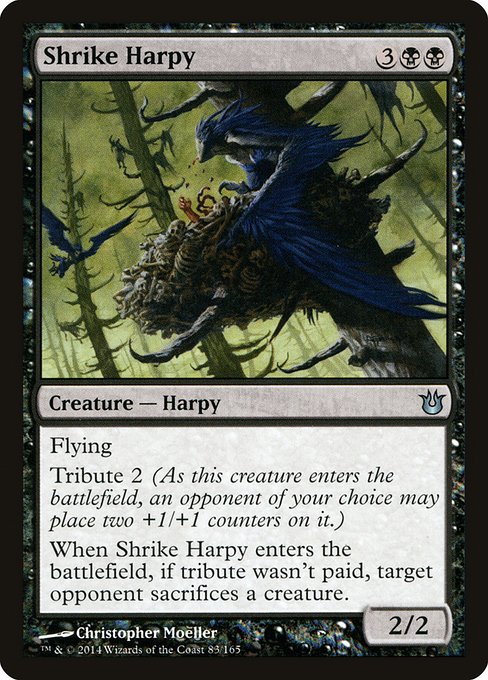 Shrike Harpy highlighted card art
