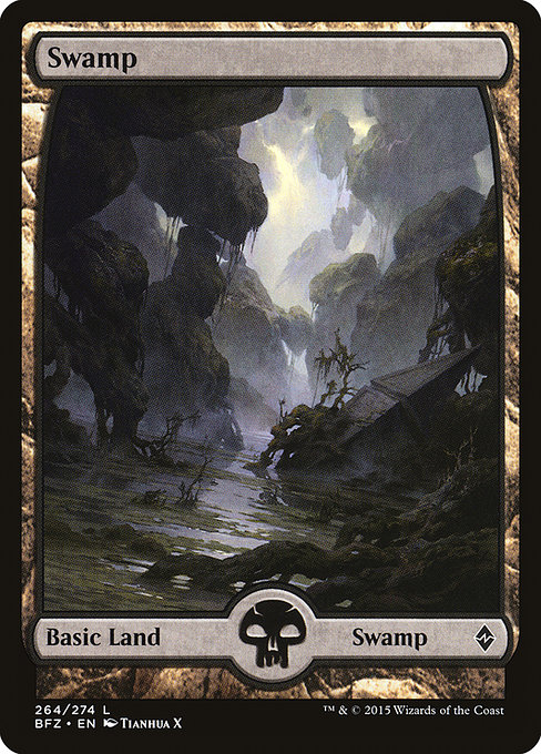 Swamp from Battle for Zendikar