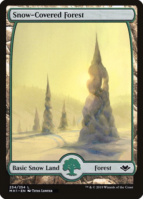 Snow-Covered Forest from Modern Horizons