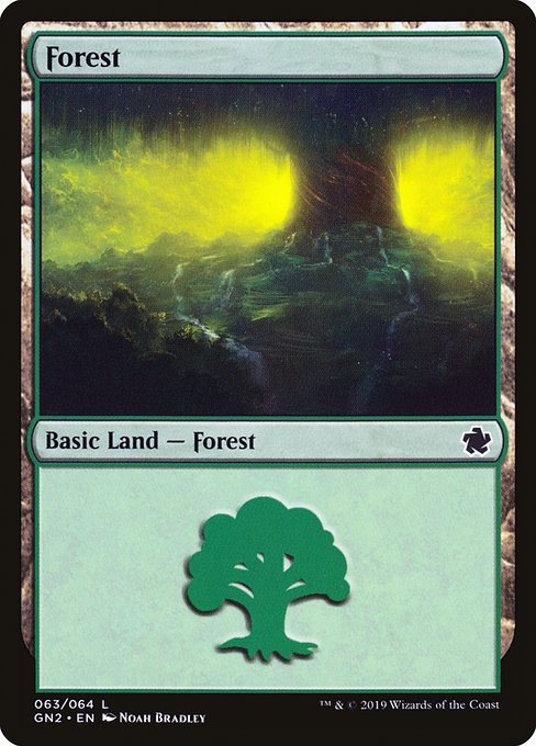 Forest from Game Night 2019