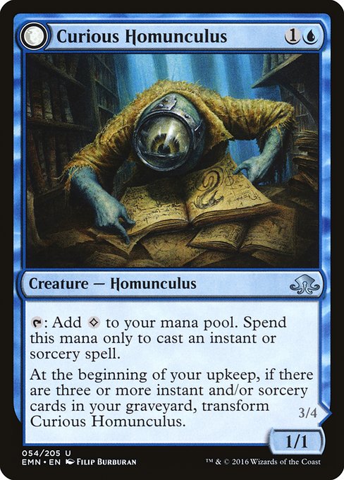 Curious Homunculus // Voracious Reader from Eldritch Moon