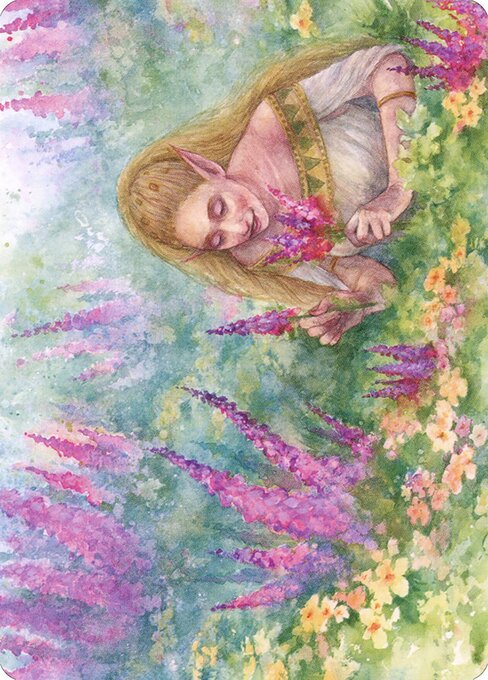 Abundant Harvest // Abundant Harvest highlighted card art