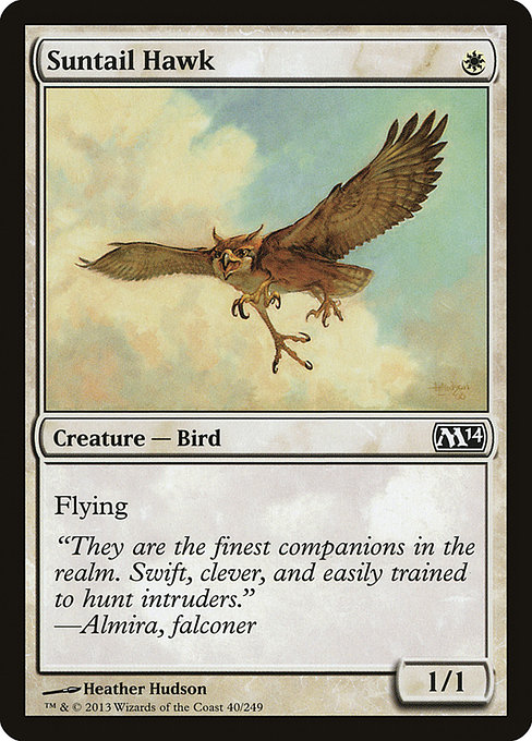 Suntail Hawk highlighted card art