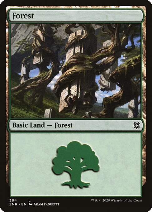 Forest from Zendikar Rising