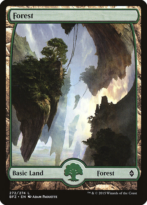 Forest from Battle for Zendikar