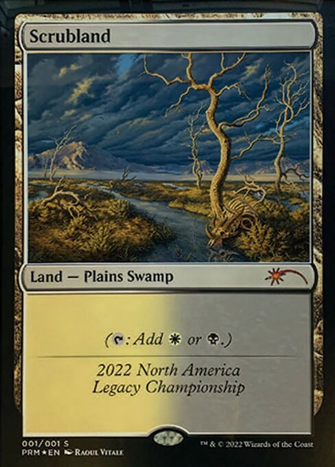 Scrubland highlighted card art
