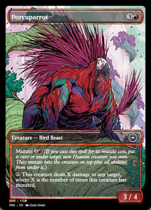 Porcuparrot highlighted card art