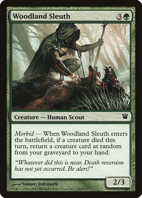 Woodland Sleuth highlighted card art