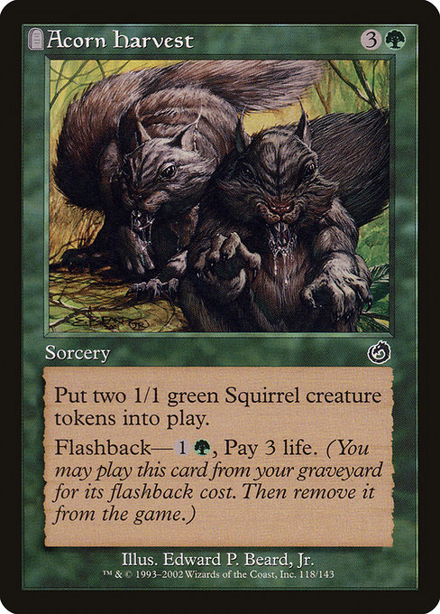 Acorn Harvest highlighted card art
