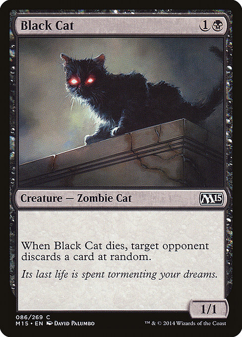 Black Cat from Magic 2015