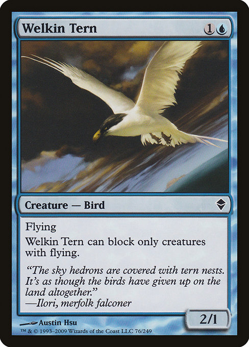 Welkin Tern from Zendikar