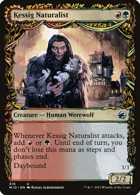 Kessig Naturalist // Lord of the Ulvenwald from Innistrad: Midnight Hunt