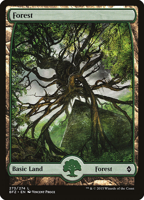Forest from Battle for Zendikar