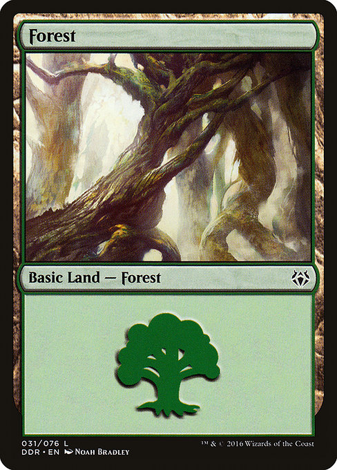 Forest from Duel Decks: Nissa vs. Ob Nixilis