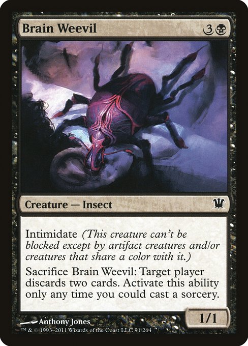 Brain Weevil from Innistrad