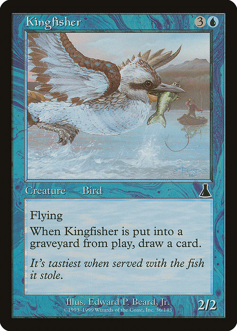 Kingfisher highlighted card art