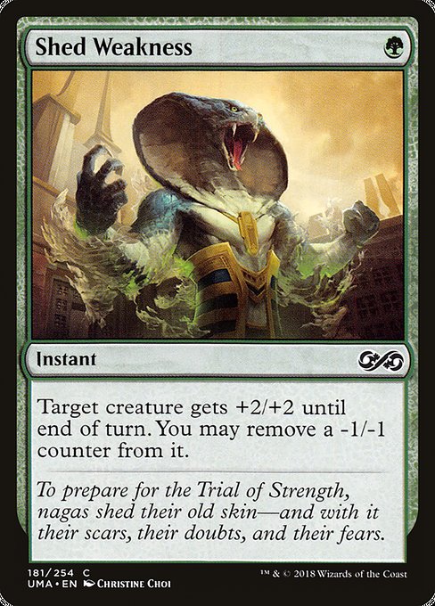 Shed Weakness from Ultimate Masters