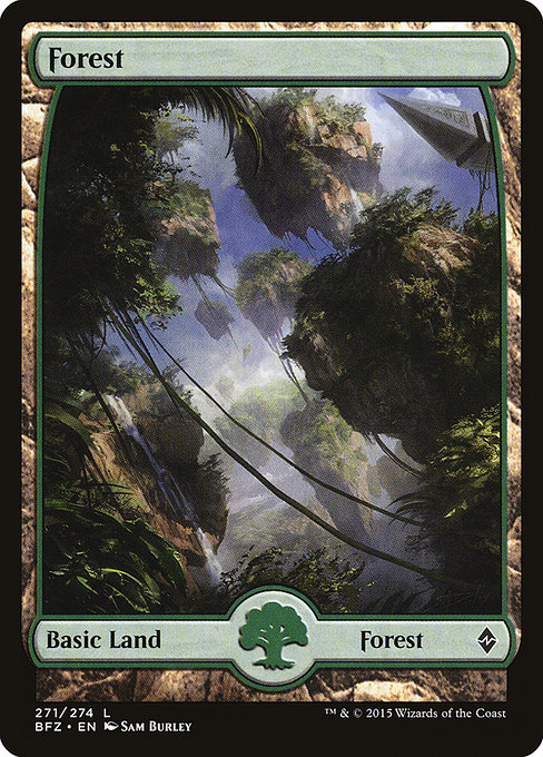 Forest from Battle for Zendikar