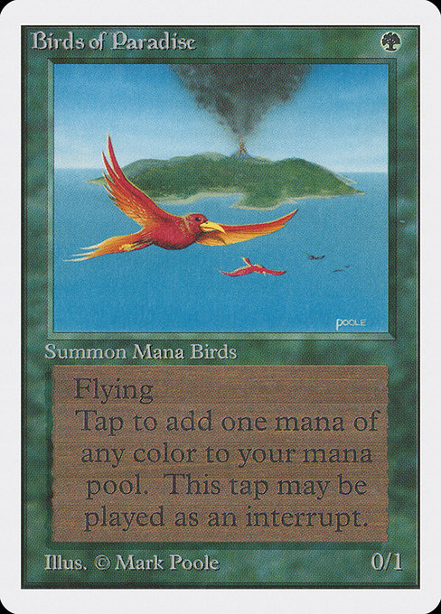 Birds of Paradise from Unlimited Edition
