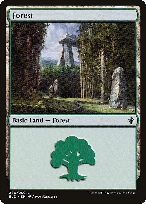 Forest from Throne of Eldraine