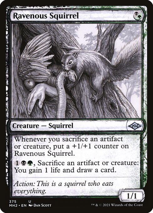 Ravenous Squirrel from Modern Horizons 2