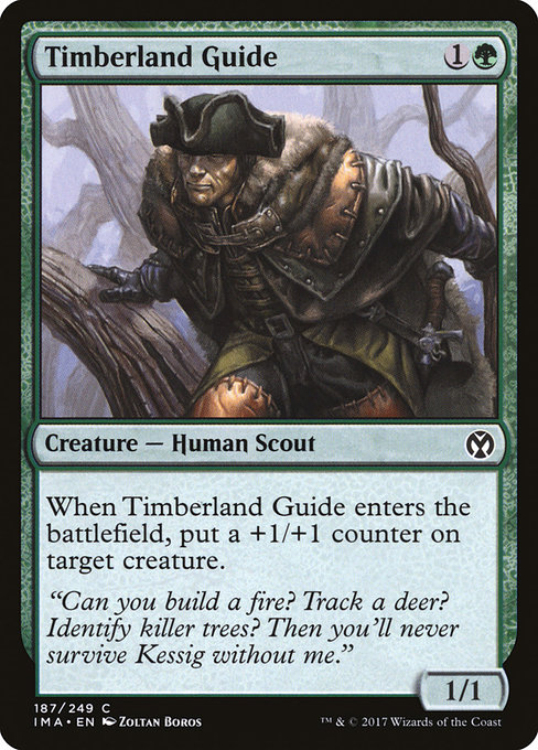 Timberland Guide from Iconic Masters