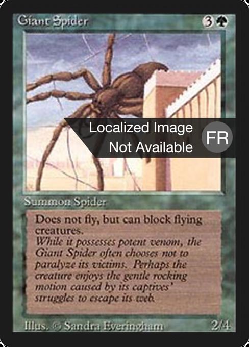 Giant Spider from Foreign Black Border