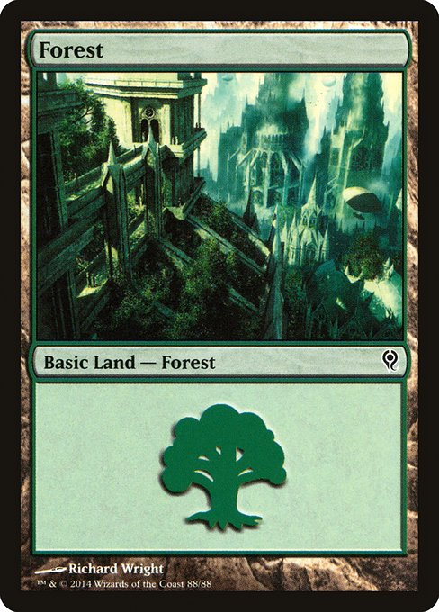Forest from Duel Decks: Jace vs. Vraska