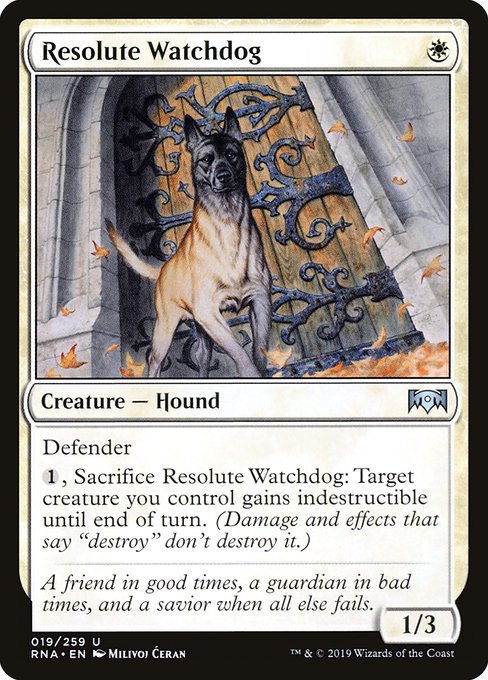 Resolute Watchdog highlighted card art