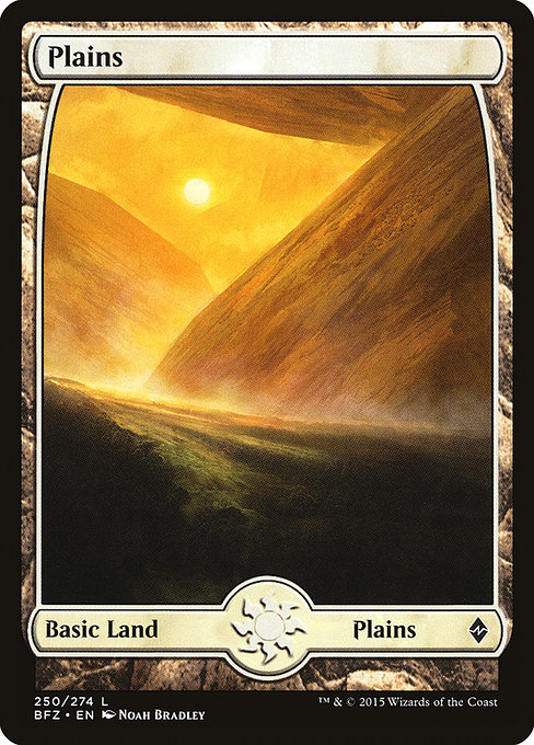 Plains from Battle for Zendikar