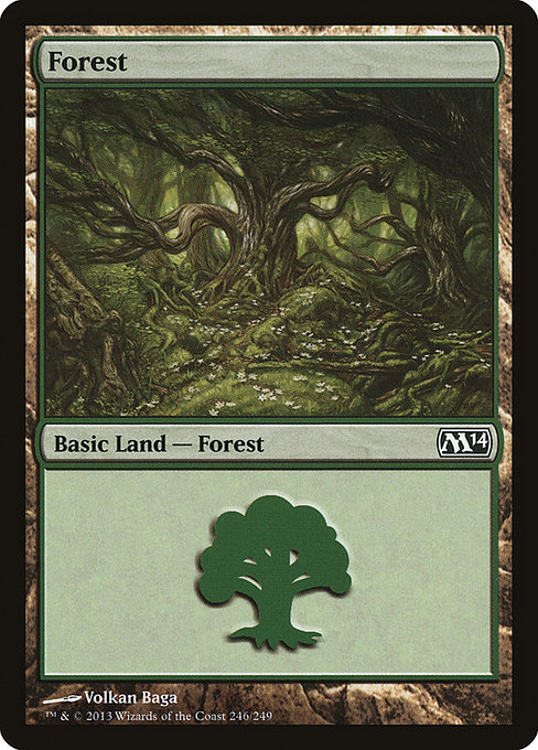 Forest from Magic 2014