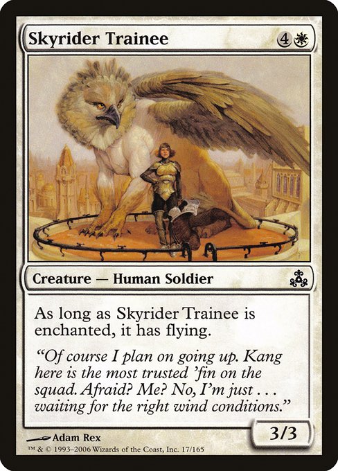 Skyrider Trainee highlighted card art