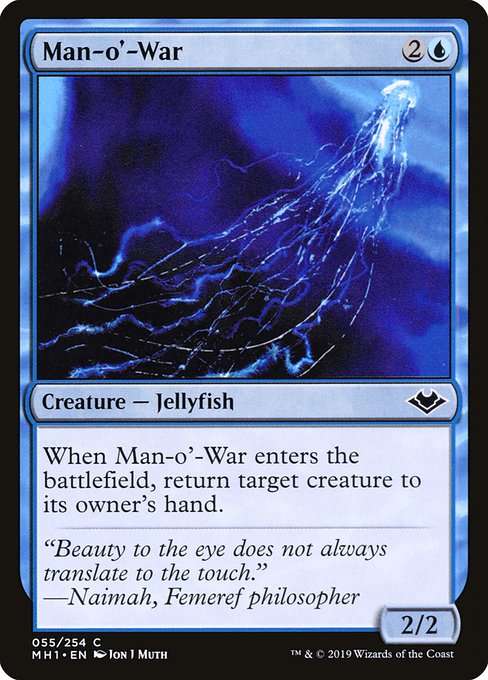 Man-o'-War from Modern Horizons