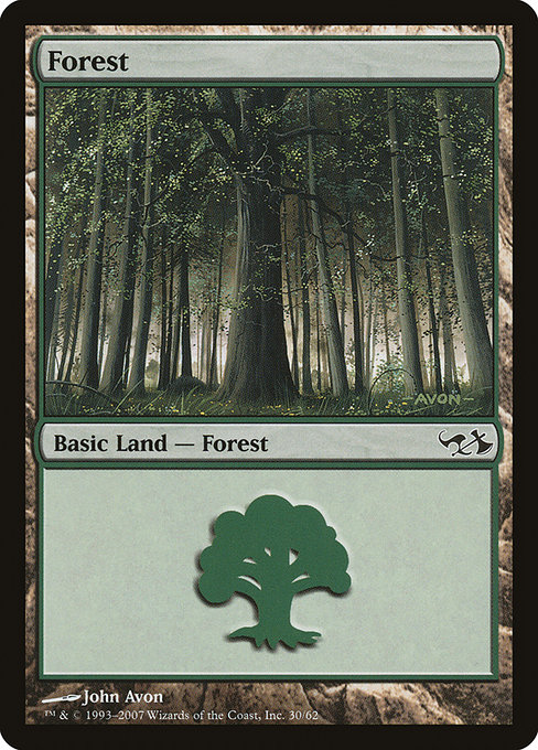 Forest from Duel Decks: Elves vs. Goblins