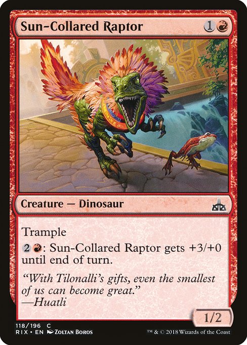 Sun-Collared Raptor highlighted card art