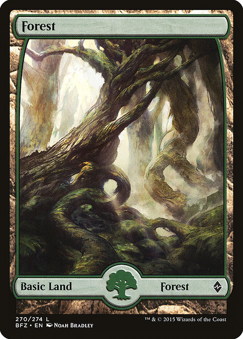 Forest from Battle for Zendikar