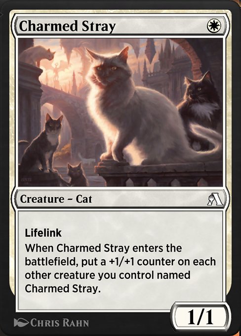 Charmed Stray highlighted card art
