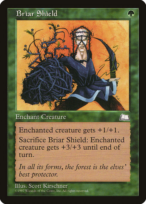 Briar Shield highlighted card art