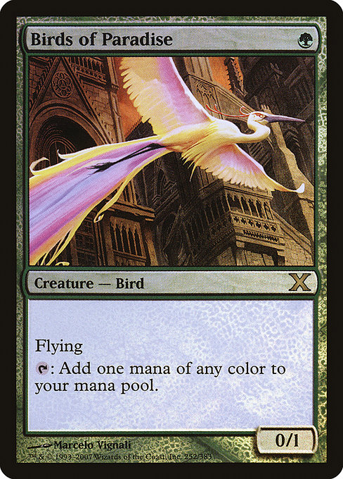 Birds of Paradise from Tenth Edition