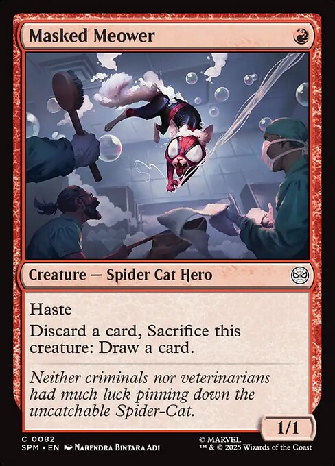Masked Meower highlighted card art